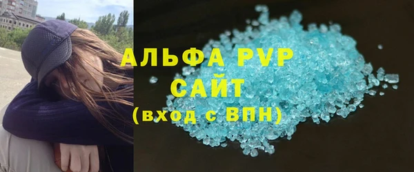 стафф Корсаков