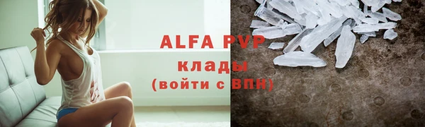 стафф Корсаков