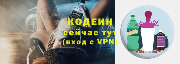 стафф Корсаков