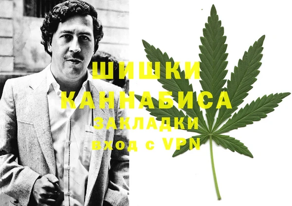 стафф Корсаков