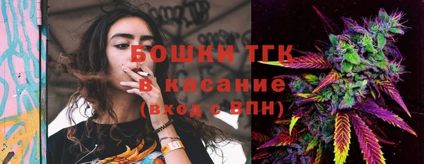 соль ск Козельск