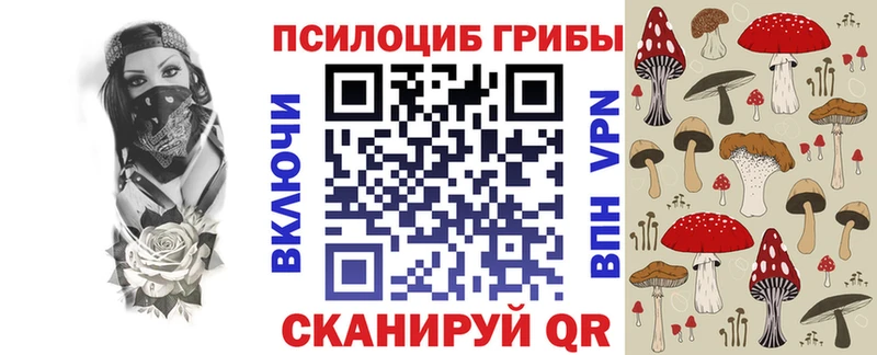 что такое Куртамыш Галлюциногенные грибы мицелий